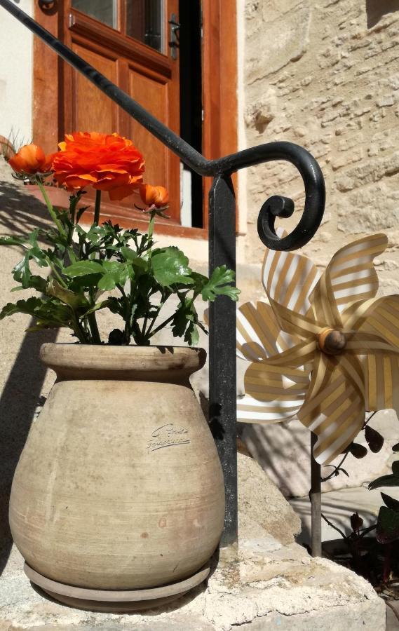 L'Antre Ami Bed & Breakfast Savigny-lès-Beaune Exterior foto